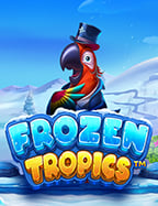 รีวิว fin99 เครดิต ฟรี สนุกกับเกมสล็อต NetEnt